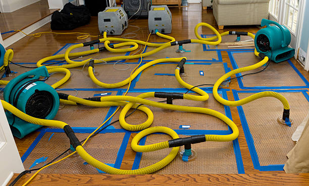 Professional Crawl Space Water Removal technician working in Tomball, TX